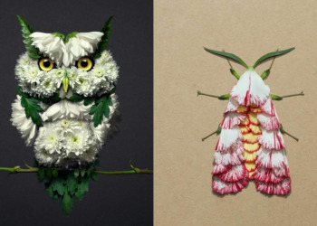 животные из природных материалов