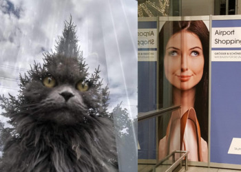 Забавные снимки, на которых отражение играет важную роль