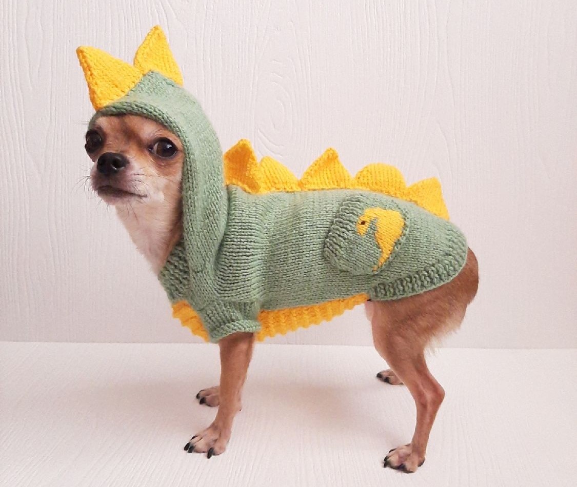 Canine Comedy: Dogs Rocking Hilarious Costumes