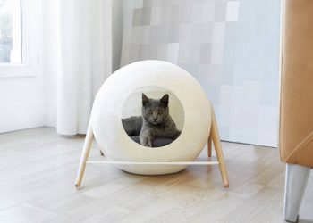 30 оригинальных кроватей для ваших питомцев