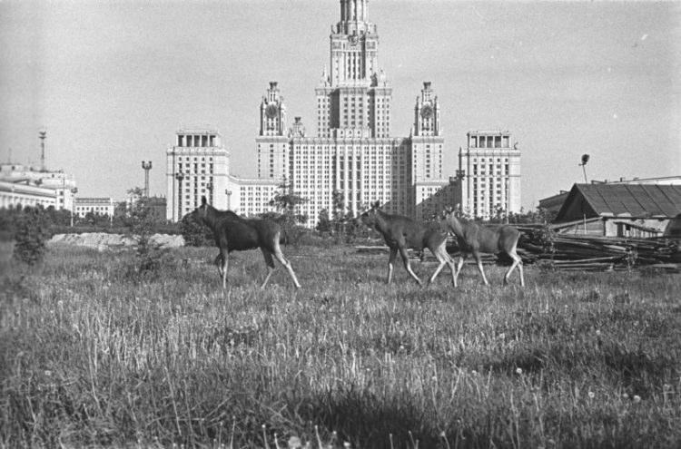 I Moskva kogda-to byla bol'shoy derevney