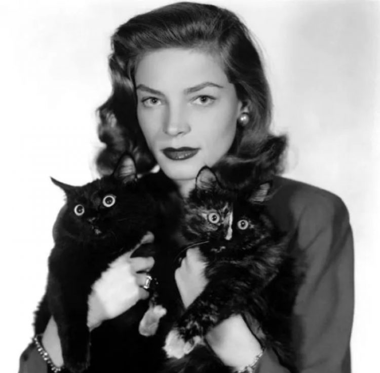 Lauren Bacall zvozdy Gollivuda i ikh koshki