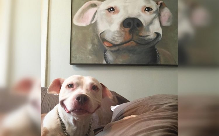 smiling animals