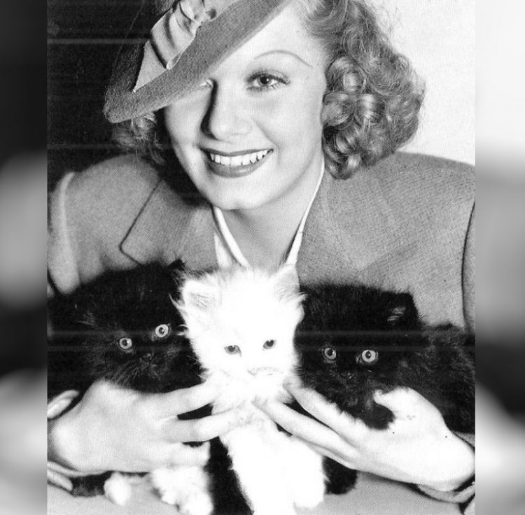 Jean Harlow zvozdy Gollivuda i ikh koshki