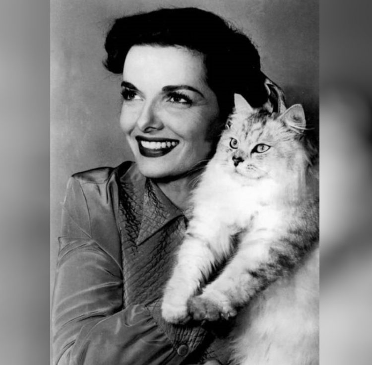 Jane Russell zvozdy Gollivuda i ikh koshki