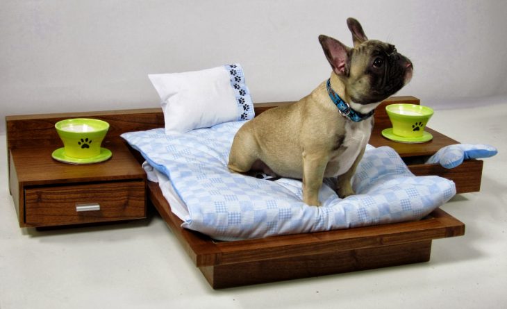 30 оригинальных кроватей для ваших питомцев