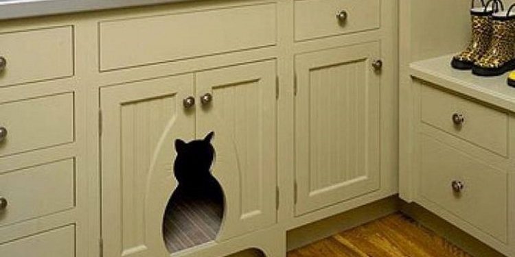 Как спрятать кошачий лоток в интерьере квартиры: 30 фотоидей