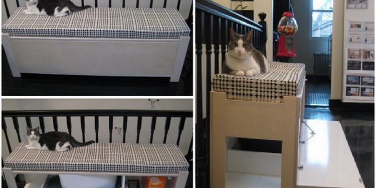 Как спрятать кошачий лоток в интерьере квартиры: 30 фотоидей