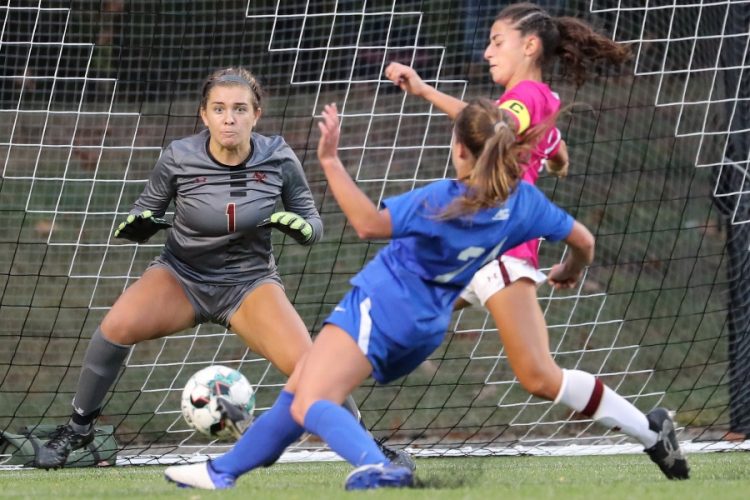 The Beauty of the Game: Stunning Shots of Women's Football