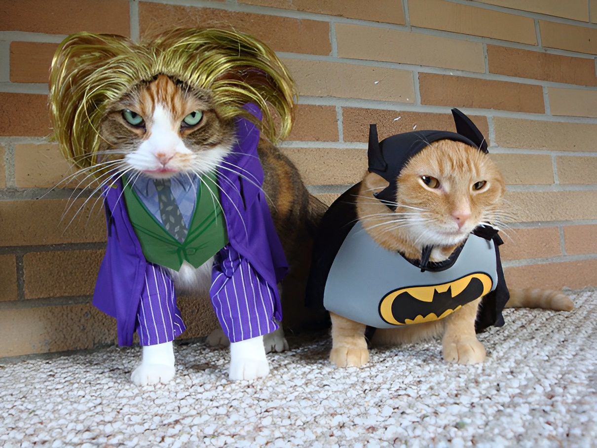 Cats in Character: Whiskered Wonders in Costume Capers