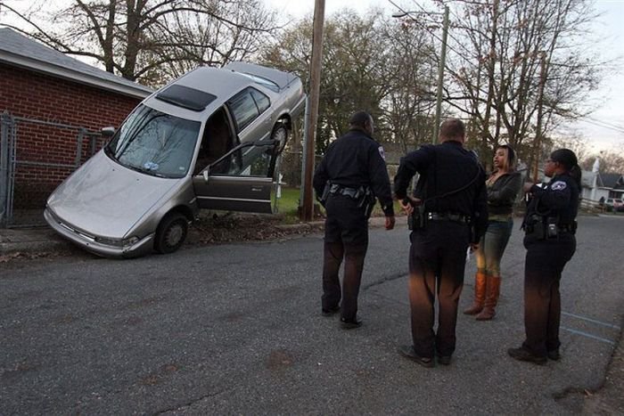 Roadside Bloopers: Funny and Unusual Road Encounters