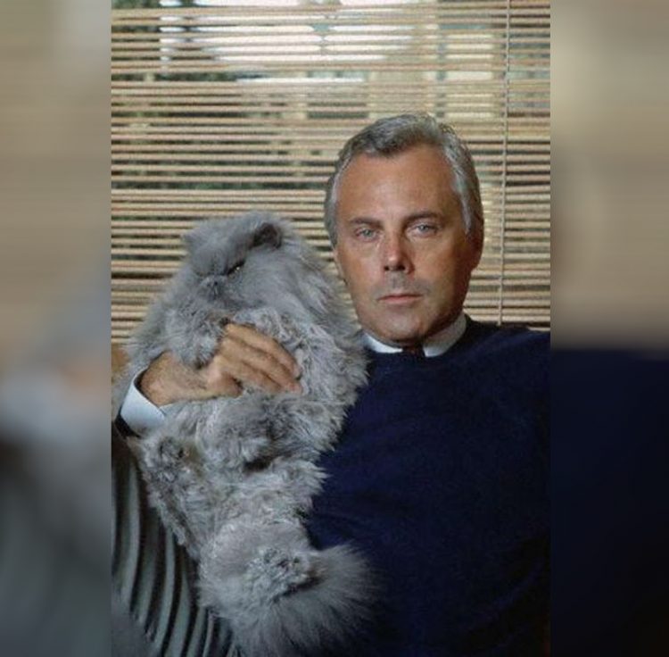Giorgio Armani zvozdy Gollivuda i ikh koshki