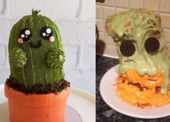 Ожидание против реальности: 50 забавных фото