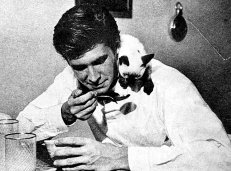 Anthony Perkins zvozdy Gollivuda i ikh koshki