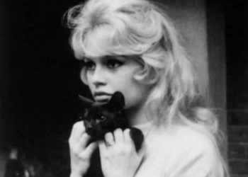 50 ретро-фото звёзд Голливуда с их питомцами кошками