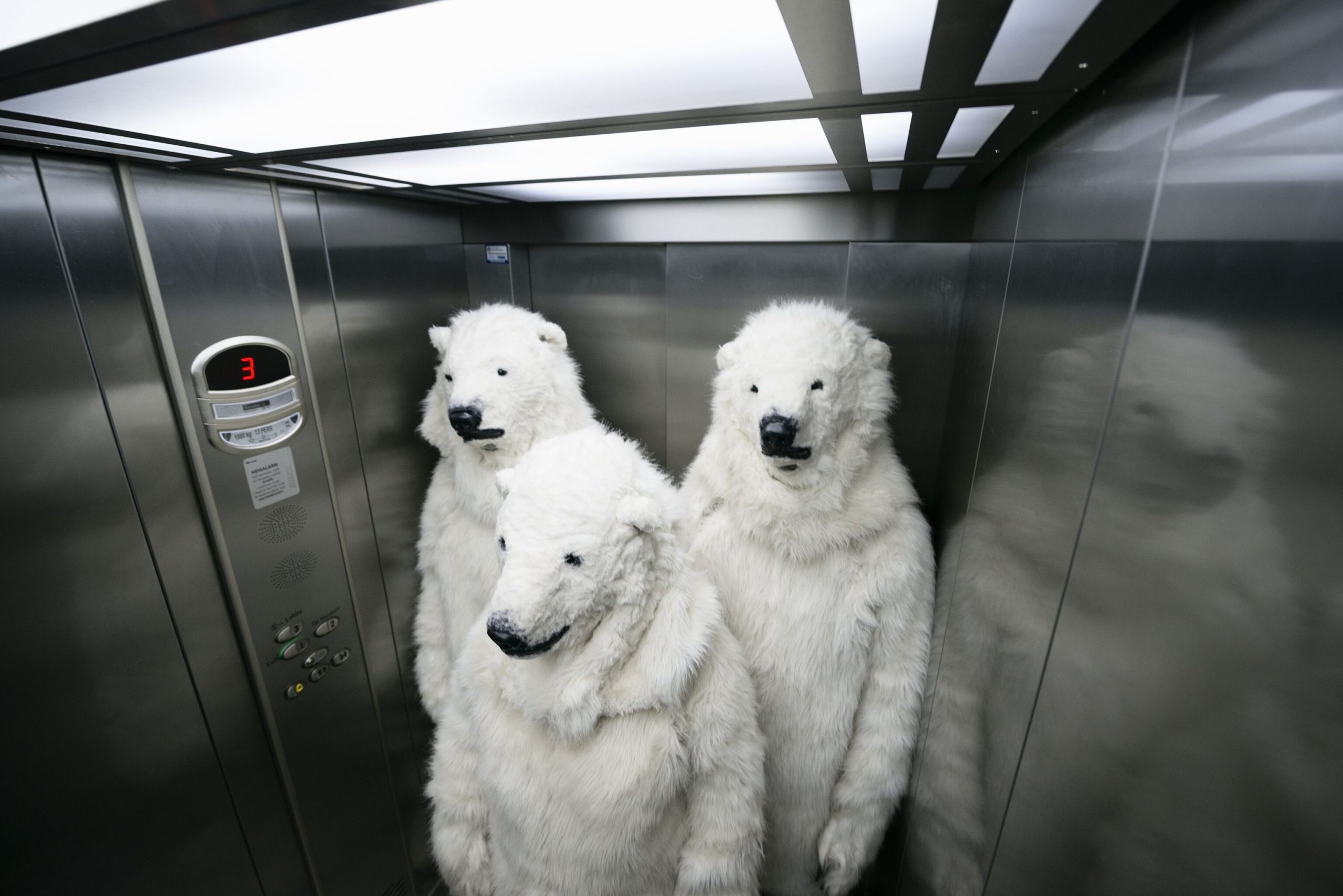 Between Floors and Giggles: Unusual Elevator Moments