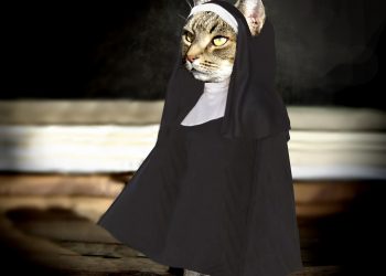 Cats in Character: Whiskered Wonders in Costume Capers