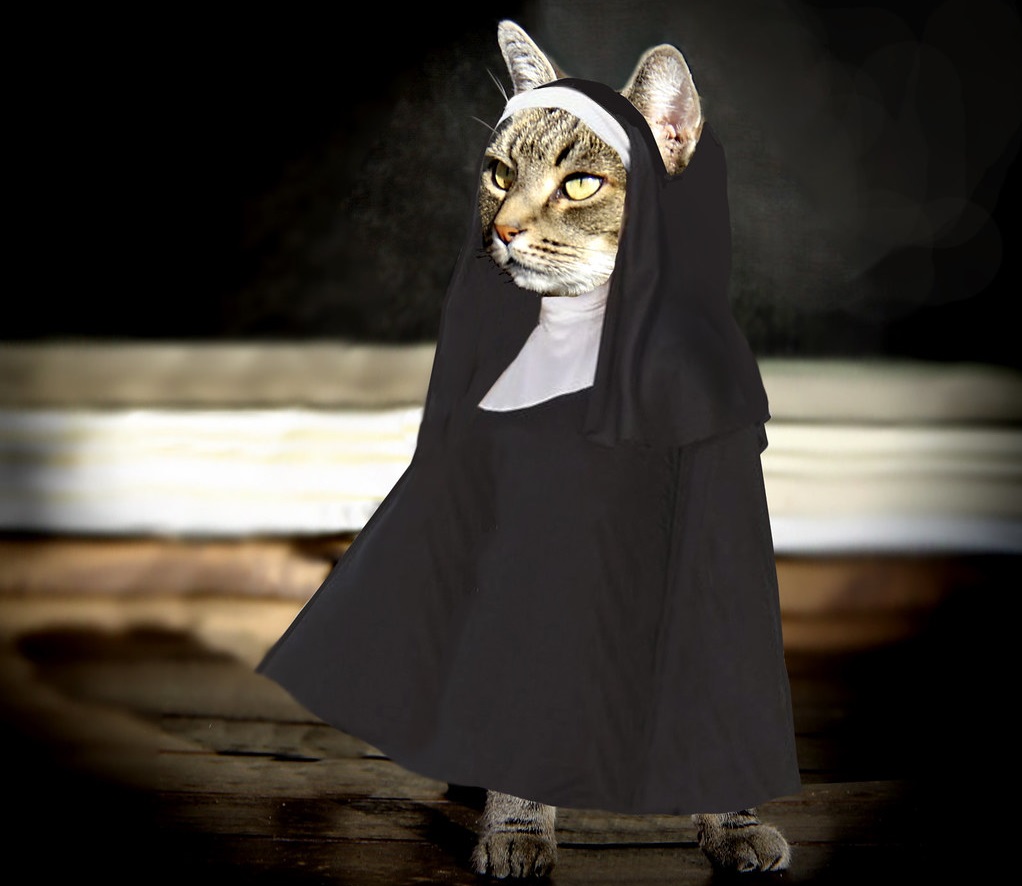 Cats in Character: Whiskered Wonders in Costume Capers