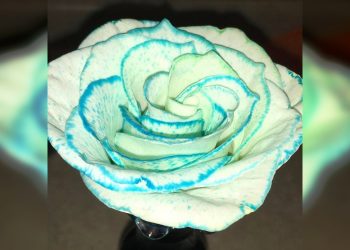 30 наглядных ответов на вопрос из серии “А что произойдет, если…?”