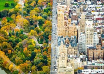 Оригинальные снимки, которые кажутся искусными коллажами