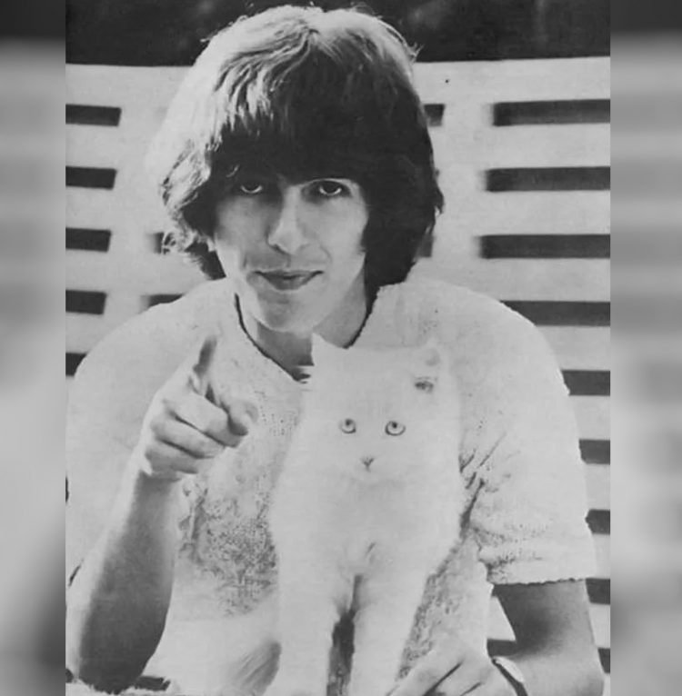 George Harrison zvozdy Gollivuda i ikh koshki