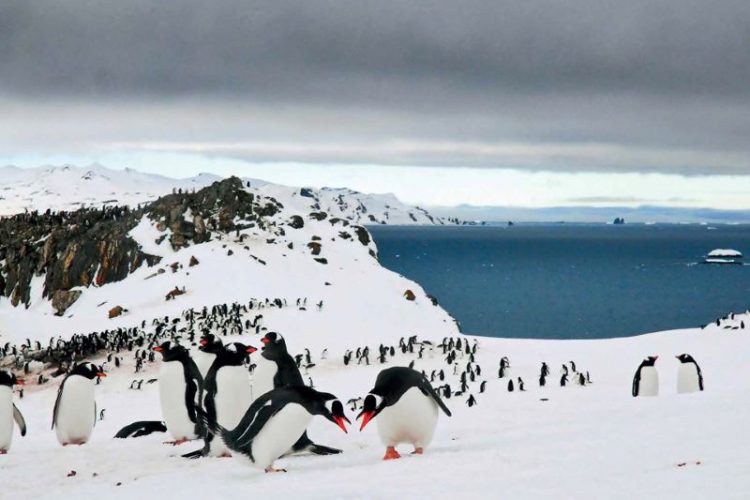 Antarktida otkrytiye i pokoreniye