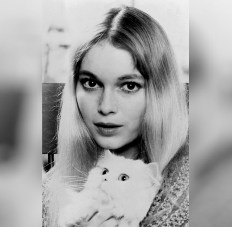 Mia Farrow zvozdy Gollivuda i ikh koshki