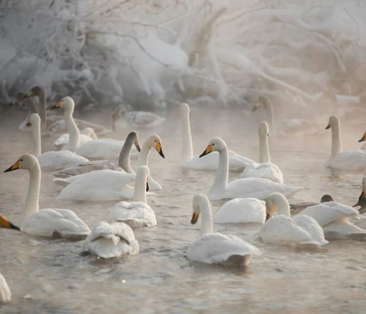 zimniye turisticheskiye marshruty po Rossii