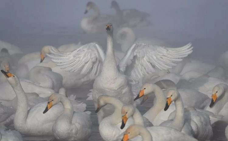 zimniye turisticheskiye marshruty po Rossii