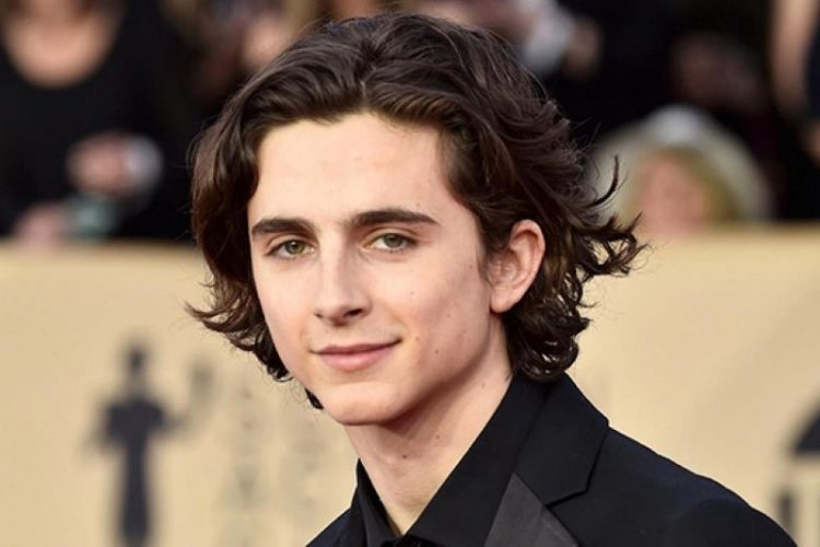 Тимоти Шаламе_Timothee Chalamet_samyye perspektivnyye yunyye aktory i aktrisy Gollivuda