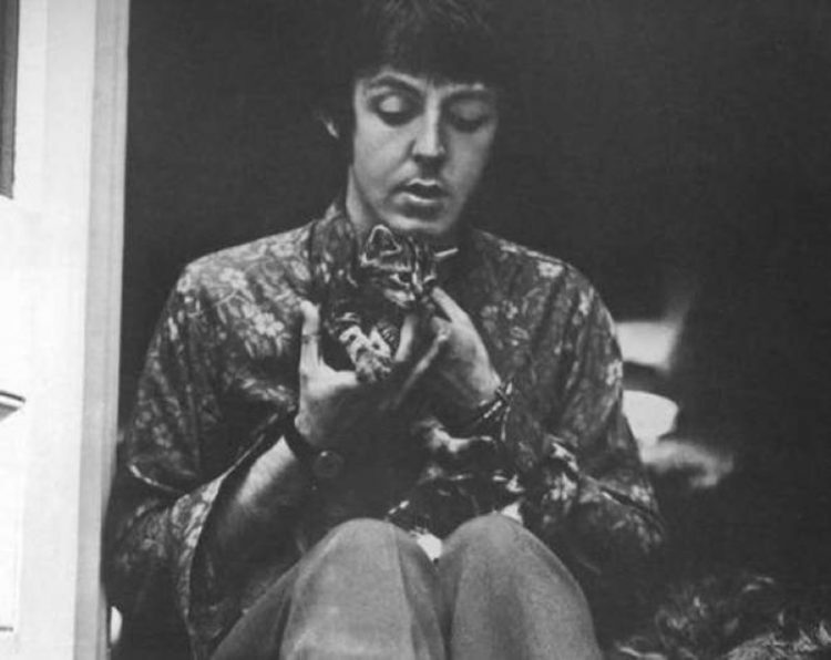 Paul McCartney zvozdy Gollivuda i ikh koshki