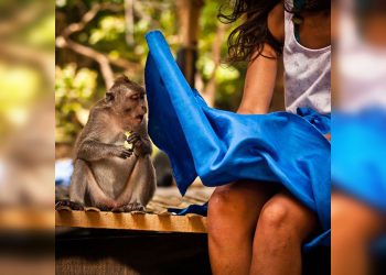 Снимки, показывающие, насколько важно в нужное время взять в руки фотоаппарат