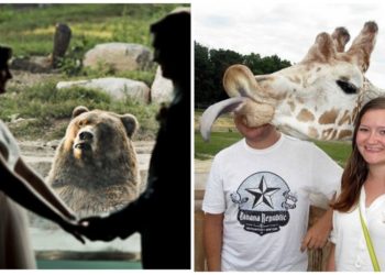 животные в кадре